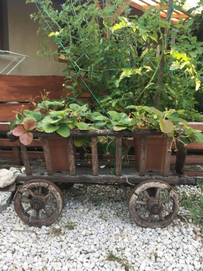 Balatonkenesei Nádfedeles Lovas Vendégház Esterno foto